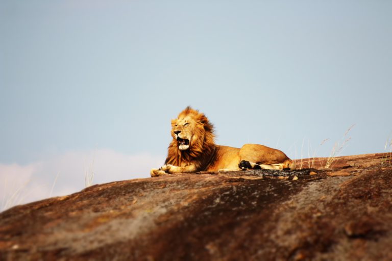 mike-holford-274691-unsplash mike-holford-274691-unsplash